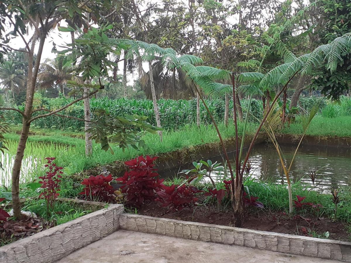 Eltari Homestay Tetebatu Exterior foto