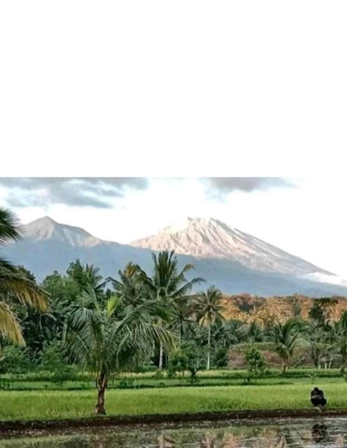 Eltari Homestay Tetebatu Exterior foto