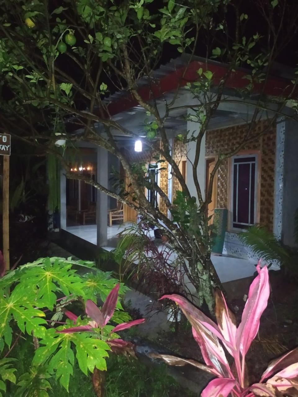 Eltari Homestay Tetebatu Exterior foto