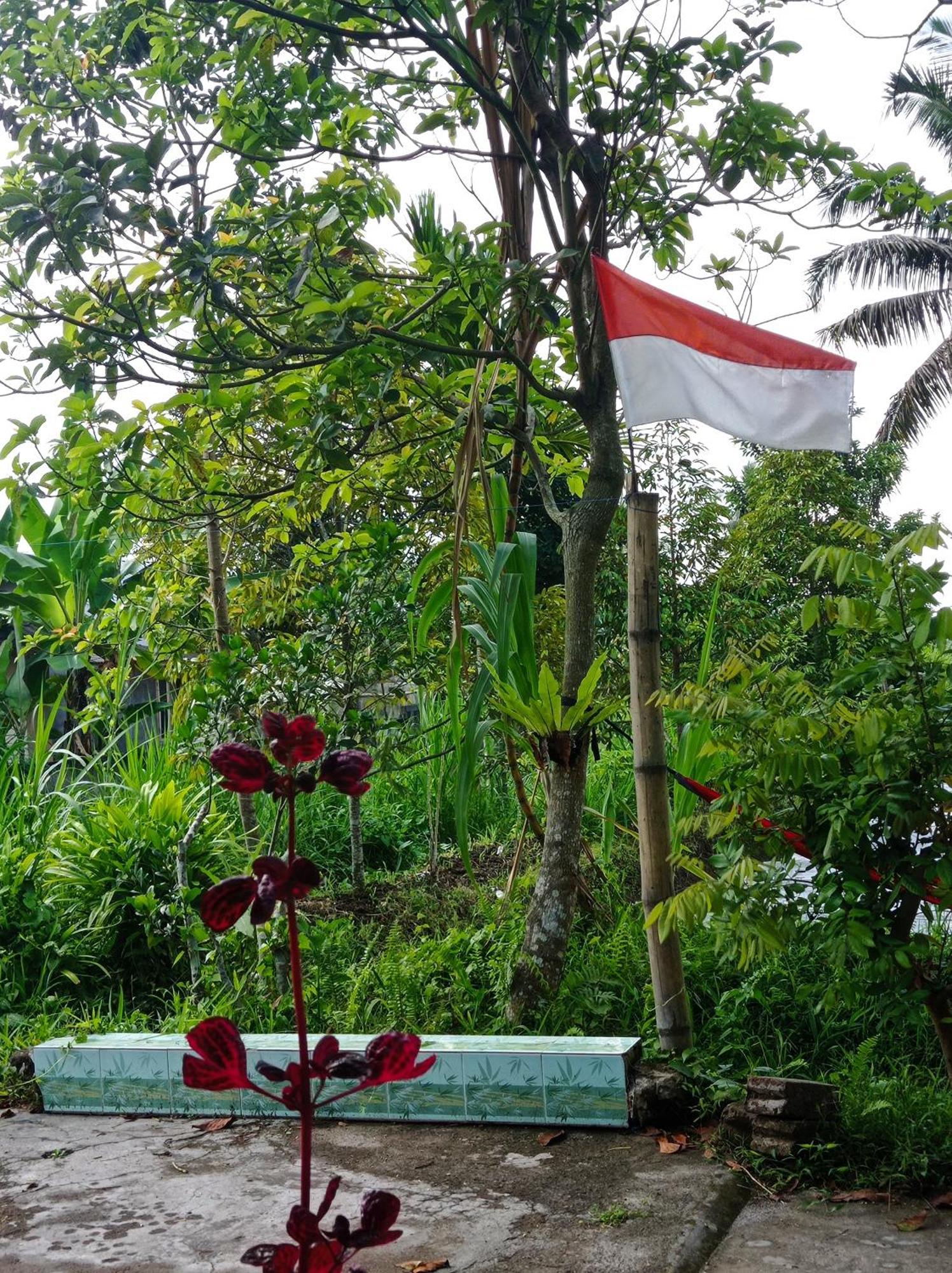 Eltari Homestay Tetebatu Cameră foto